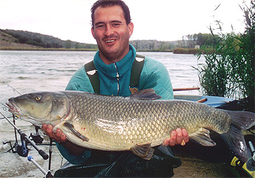 Record photograph for Luciobarbus microcephalus